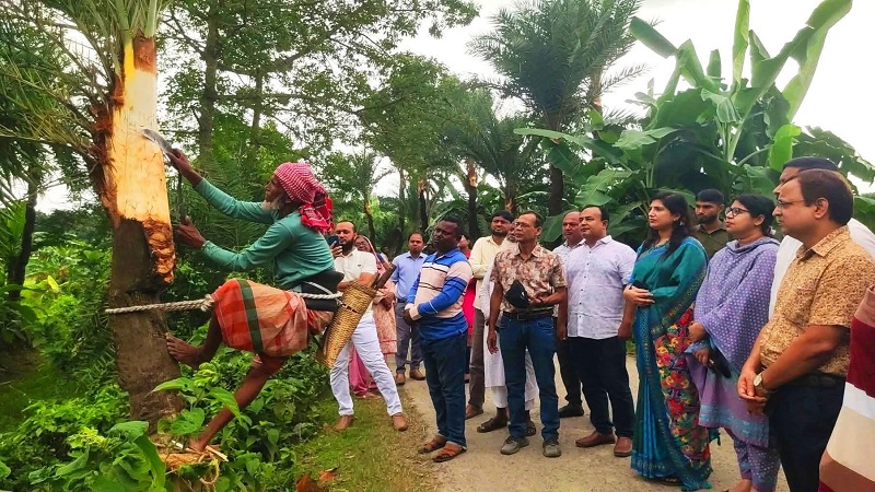 চৌগাছায় খেজুরগাছ তোলার আনুষ্ঠানিক উদ্বোধন করলেন ইউএনও
